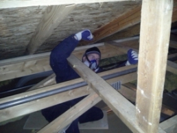 During