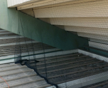 Bird Netting Installation