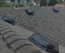 Roof Vent Gaurd
