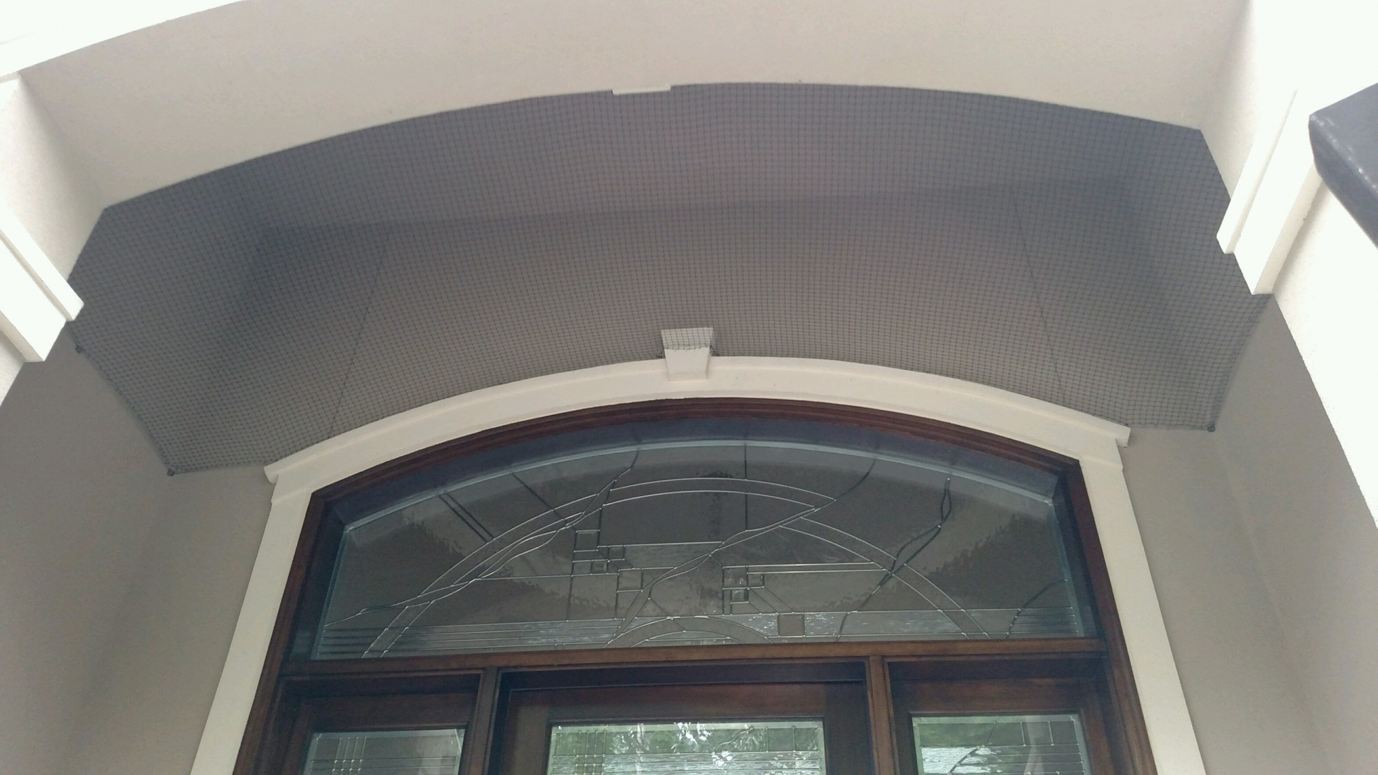 Bird nesting repair Seattle