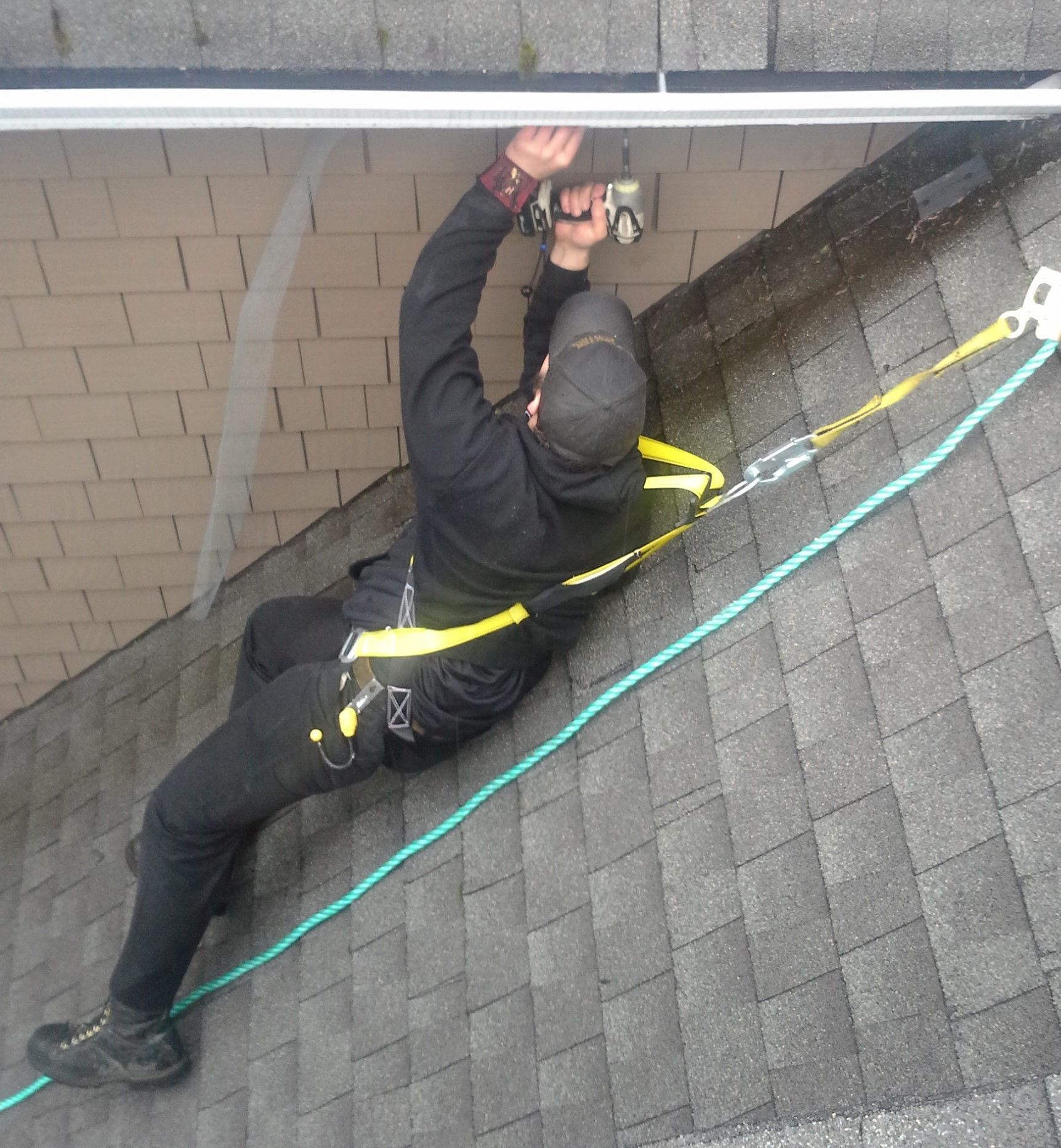 Repairing Wildlife Damage Seattle