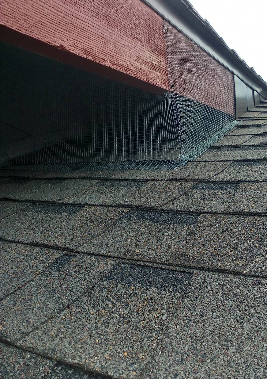 Eave Repair in Seattle
