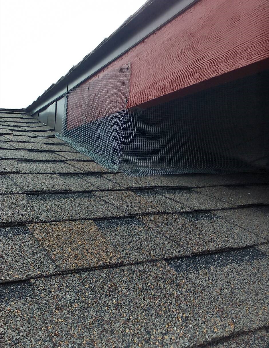 Eave Repair on Building Seattle