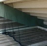 Netting