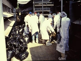 Wildlife Diseases