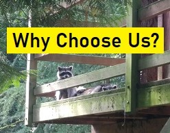 Why Choose Us?